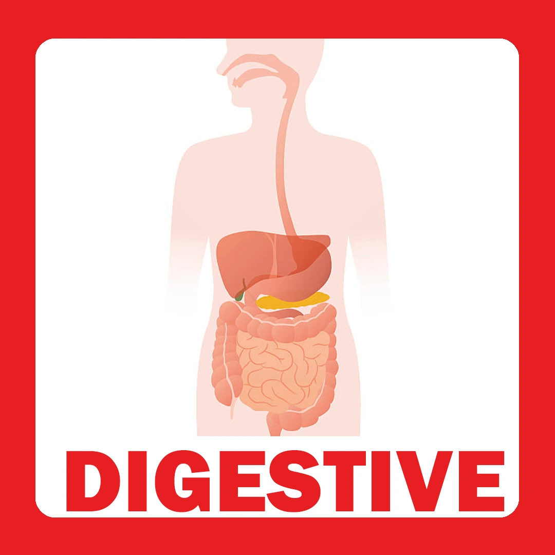 Digestive Health